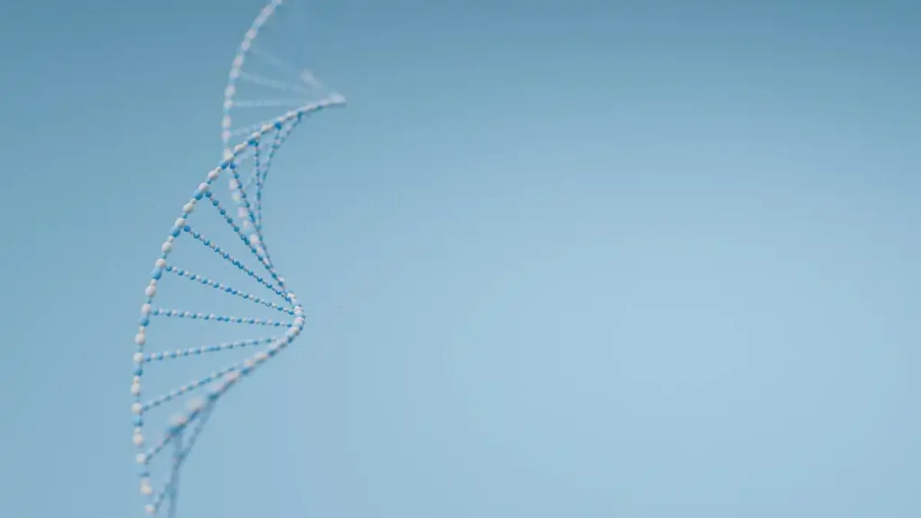 epigenética rasgos físicos