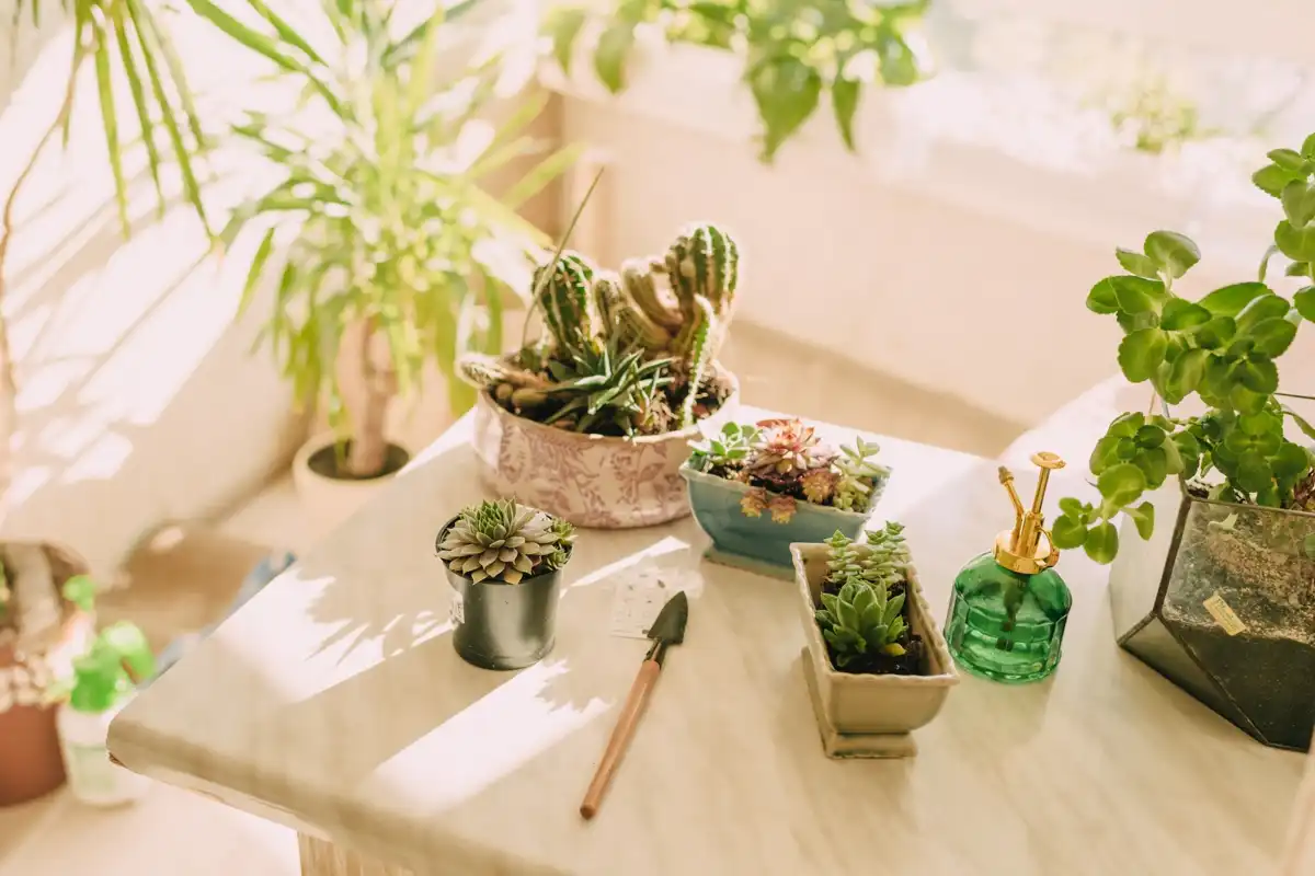 las plantas tienen sistema nervioso