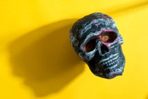 Descubre la fascinante teoría sobre nuestros orígenes primitivos y su influencia en la humanidad