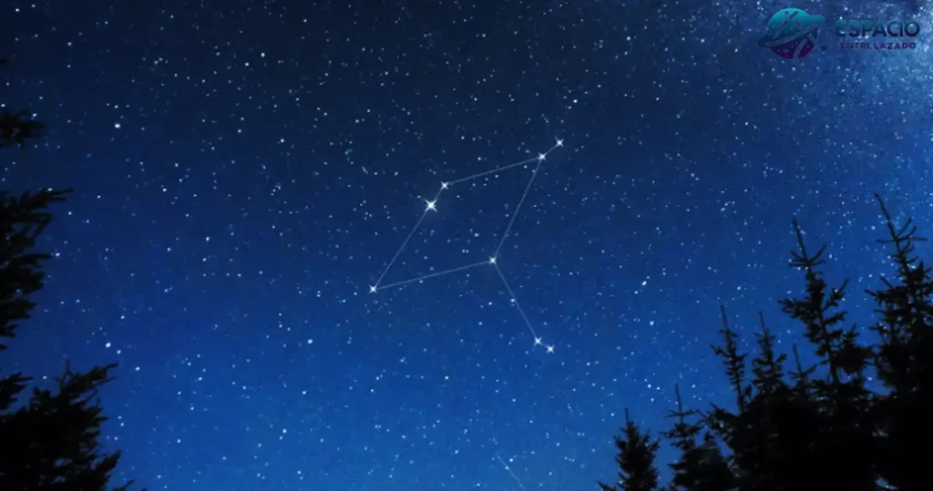 aquila