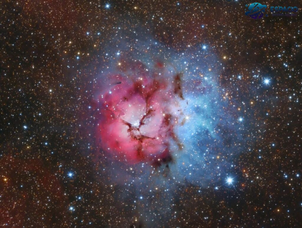 nebulosa trifida