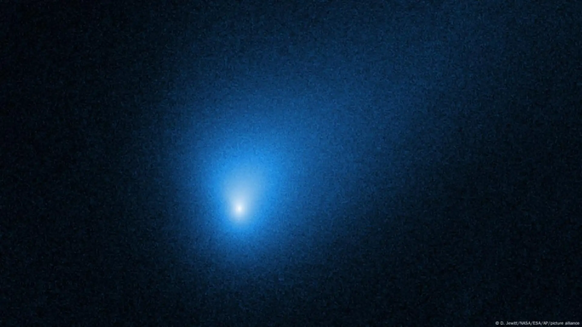 cometa borisov